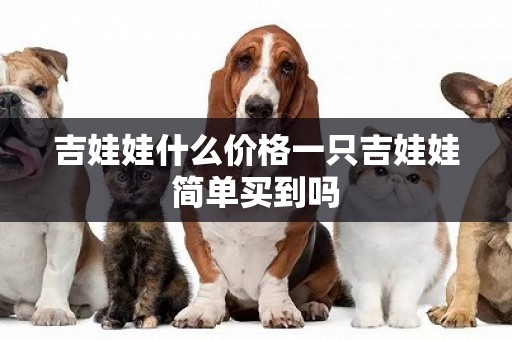 吉娃娃什么價格一只吉娃娃簡單買到嗎