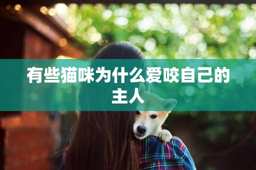有些貓咪為什么愛咬自己的主人