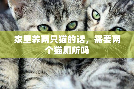 家里養兩只貓的話，需要兩個貓廁所嗎
