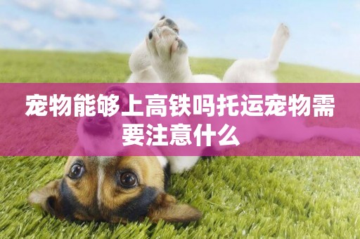 寵物能夠上高鐵嗎托運寵物需要注意什么