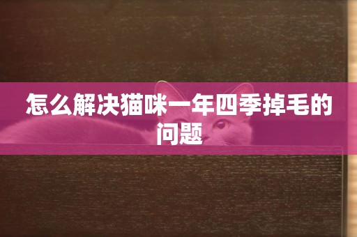 怎么解決貓咪一年四季掉毛的問題
