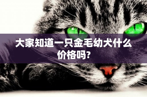 大家知道一只金毛幼犬什么價格嗎?