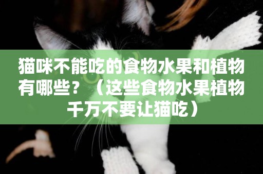 貓咪不能吃的食物水果和植物有哪些？（這些食物水果植物千萬不要讓貓吃）