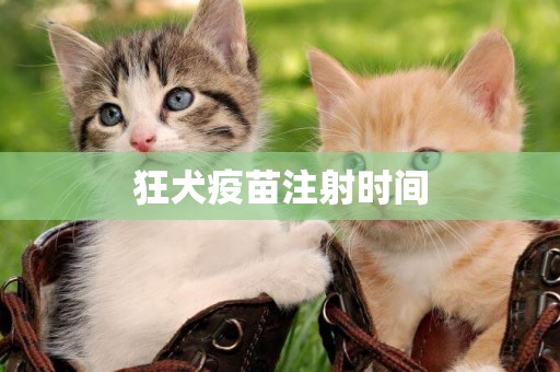 狂犬疫苗注射時間