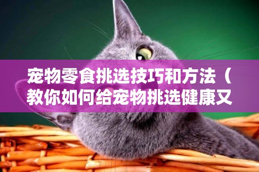 寵物零食挑選技巧和方法（教你如何給寵物挑選健康又美味的寵物零食）
