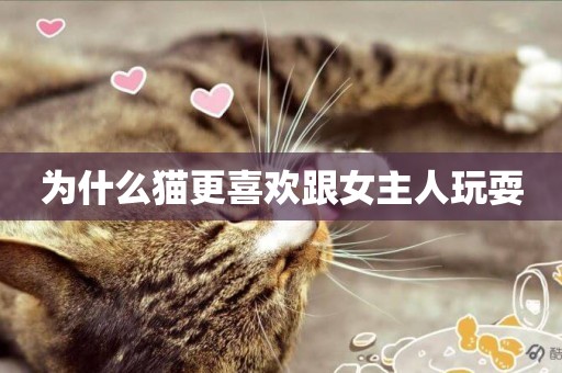 為什么貓更喜歡跟女主人玩耍