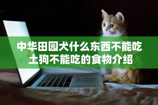 中華田園犬什么東西不能吃 土狗不能吃的食物介紹