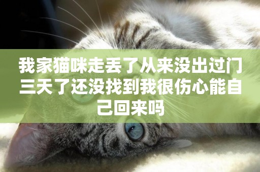 我家貓咪走丟了從來沒出過門三天了還沒找到我很傷心能自己回來嗎