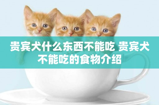 貴賓犬什么東西不能吃 貴賓犬不能吃的食物介紹