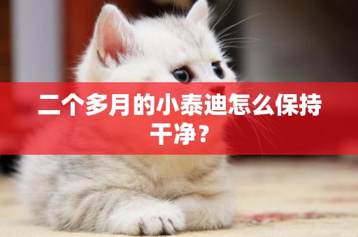 二個多月的小泰迪怎么保持干凈？
