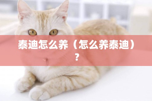 泰迪怎么養（怎么養泰迪）？