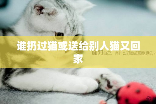 誰扔過貓或送給別人貓又回家