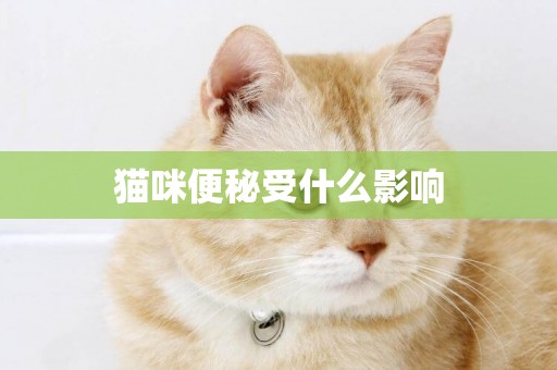 貓咪便秘受什么影響