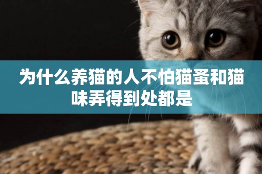 為什么養貓的人不怕貓蚤和貓味弄得到處都是
