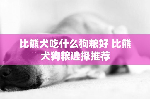 比熊犬吃什么狗糧好 比熊犬狗糧選擇推薦
