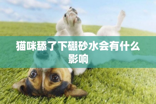 貓咪舔了下硼砂水會有什么影響
