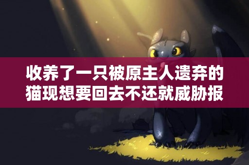 收養了一只被原主人遺棄的貓現想要回去不還就威脅報警還嗎
