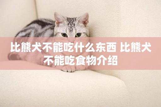 比熊犬不能吃什么東西 比熊犬不能吃食物介紹