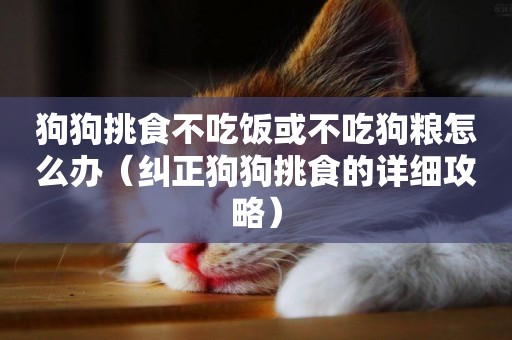 狗狗挑食不吃飯或不吃狗糧怎么辦（糾正狗狗挑食的詳細攻略）