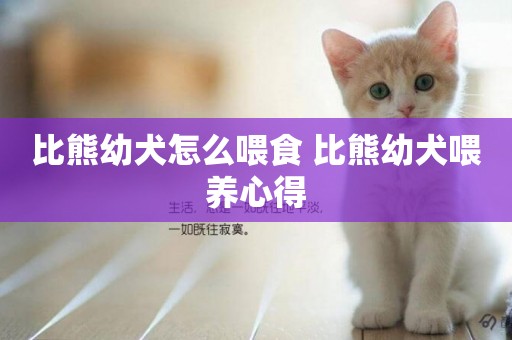 比熊幼犬怎么喂食 比熊幼犬喂養心得