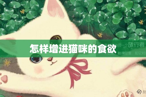 怎樣增進貓咪的食欲