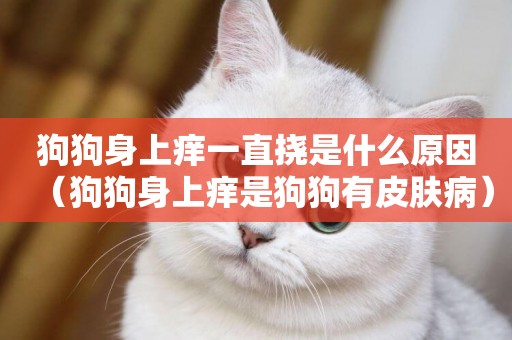 狗狗身上癢一直撓是什么原因（狗狗身上癢是狗狗有皮膚病）