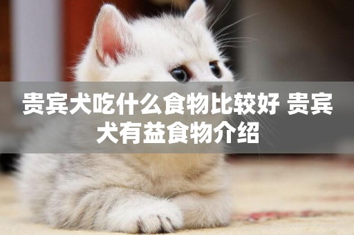 貴賓犬吃什么食物比較好 貴賓犬有益食物介紹