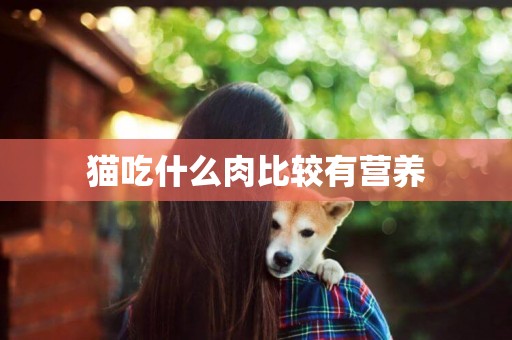 貓吃什么肉比較有營養