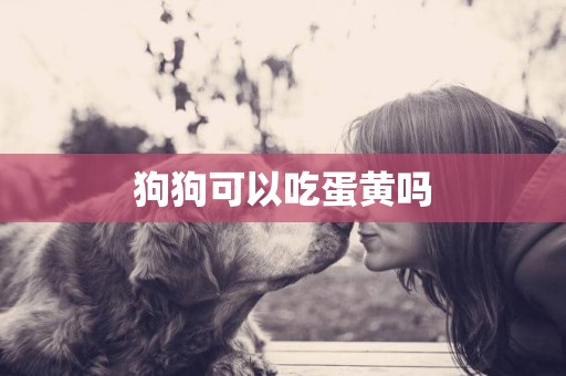 狗狗可以吃蛋黃嗎
