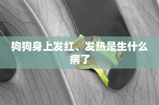 狗狗身上發紅、發熱是生什么病了
