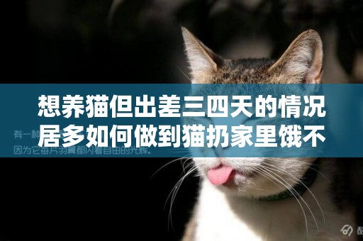 想養貓但出差三四天的情況居多如何做到貓扔家里餓不死、大小便自律、還不無聊