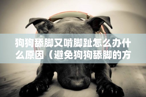 狗狗舔腳又啃腳趾怎么辦什么原因（避免狗狗舔腳的方法）