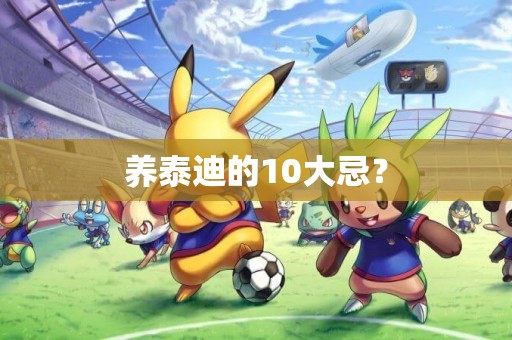 養泰迪的10大忌？