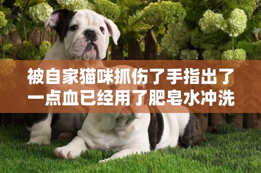 被自家貓咪抓傷了手指出了一點血已經用了肥皂水沖洗過了還需要去打針嗎