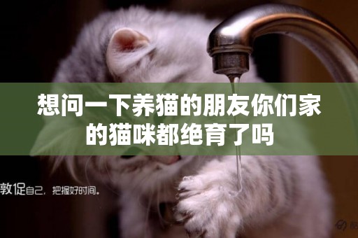 想問一下養貓的朋友你們家的貓咪都絕育了嗎