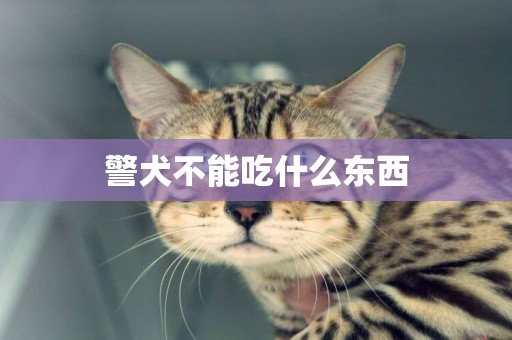 警犬不能吃什么東西