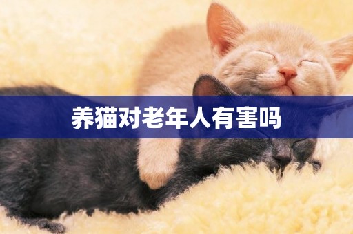 養貓對老年人有害嗎