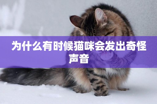 為什么有時候貓咪會發出奇怪聲音