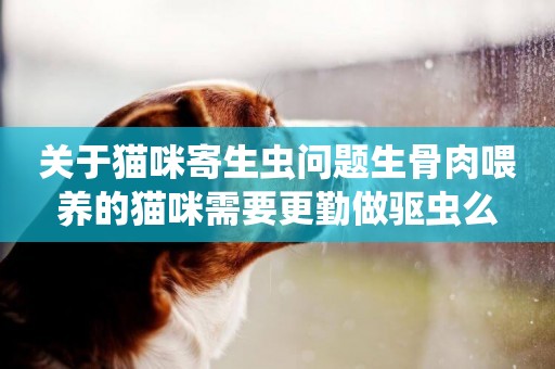 關于貓咪寄生蟲問題生骨肉喂養的貓咪需要更勤做驅蟲么