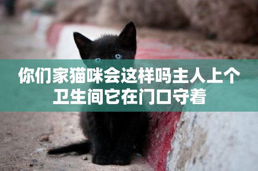 你們家貓咪會這樣嗎主人上個衛生間它在門口守著