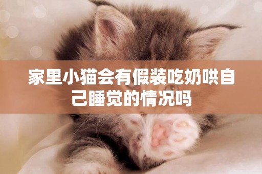 家里小貓會有假裝吃奶哄自己睡覺的情況嗎