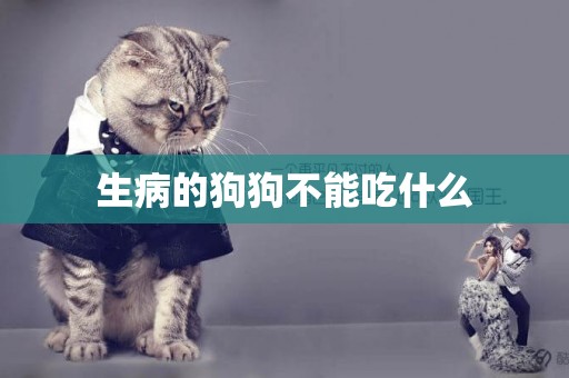 生病的狗狗不能吃什么