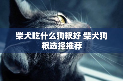 柴犬吃什么狗糧好 柴犬狗糧選擇推薦