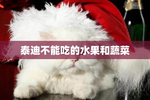泰迪不能吃的水果和蔬菜