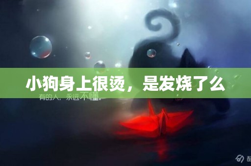 小狗身上很燙，是發燒了么