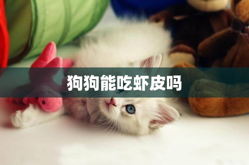 狗狗能吃蝦皮嗎