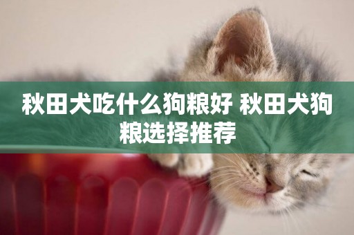 秋田犬吃什么狗糧好 秋田犬狗糧選擇推薦