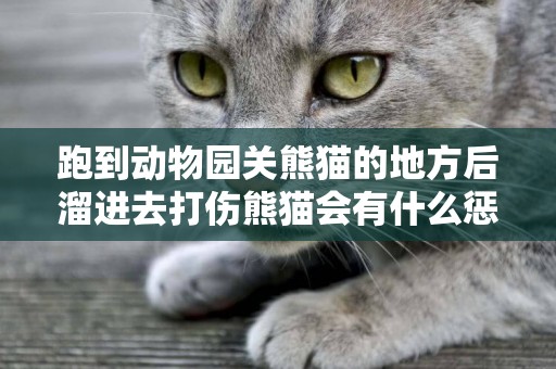 跑到動物園關熊貓的地方后溜進去打傷熊貓會有什么懲罰