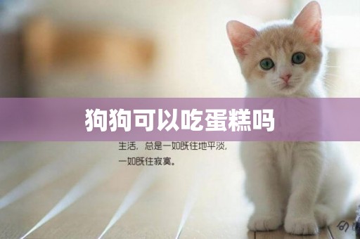 狗狗可以吃蛋糕嗎