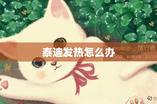 泰迪發熱怎么辦